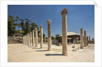Beit She'an National Park (Scythopolis), the Western Bathhouse by Anonymous