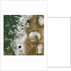 Satellite view of Crater Lake and the Cascade Mountains of Oregon by Anonymous