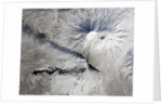 Activity at the Tolbachik volcano by Anonymous