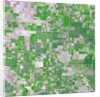 Agricultural fields near Wasco, California by Anonymous