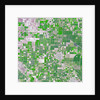 Agricultural fields near Wasco, California by Anonymous