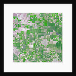 Agricultural fields near Wasco, California by Anonymous