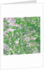 Agricultural fields near Wasco, California by Anonymous
