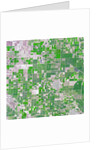Agricultural fields near Wasco, California by Anonymous