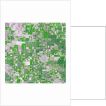 Agricultural fields near Wasco, California by Anonymous