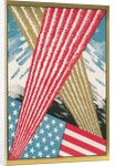 American Flag with Fireworks by Anonymous