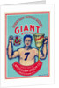 Label for Giant Brand Broom by Anonymous