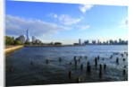 Downtown view with the Freedom tower from the Hudson River greenway by Anonymous