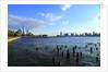 Downtown view with the Freedom tower from the Hudson River greenway by Anonymous