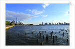 Downtown view with the Freedom tower from the Hudson River greenway by Anonymous