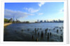 Downtown view with the Freedom tower from the Hudson River greenway by Anonymous