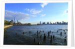 Downtown view with the Freedom tower from the Hudson River greenway by Anonymous