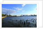 Downtown view with the Freedom tower from the Hudson River greenway by Anonymous
