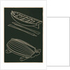 Rowboats and Oars in Black and White by Anonymous