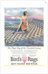 Vintage Rug Advertisement by Anonymous