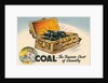 Coal, The Treasure Chest of Chemistry by Anonymous
