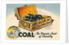 Coal, The Treasure Chest of Chemistry by Anonymous