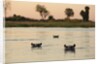 Hippopotamus, Botswana by Anonymous