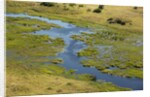 Okavango Delta Aerial by Anonymous