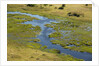 Okavango Delta Aerial by Anonymous