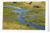 Okavango Delta Aerial by Anonymous