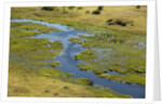 Okavango Delta Aerial by Anonymous