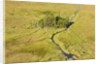 Okavango Delta Aerial by Anonymous