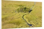 Okavango Delta Aerial by Anonymous