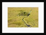 Okavango Delta Aerial by Anonymous