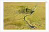 Okavango Delta Aerial by Anonymous