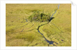 Okavango Delta Aerial by Anonymous