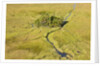 Okavango Delta Aerial by Anonymous