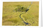 Okavango Delta Aerial by Anonymous