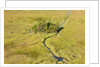 Okavango Delta Aerial by Anonymous