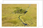 Okavango Delta Aerial by Anonymous