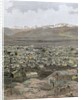 American West. Nineteenth century. Mining town of Leadville by Anonymous