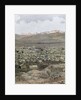 American West. Nineteenth century. Mining town of Leadville by Anonymous