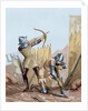 Siege of Gibraltar. Archers. 1350. by Anonymous