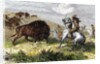Indians hunting bison. by Anonymous