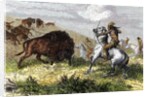 Indians hunting bison. by Anonymous