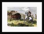 Indians hunting bison. by Anonymous