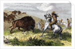 Indians hunting bison. by Anonymous