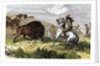 Indians hunting bison. by Anonymous