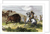 Indians hunting bison. by Anonymous