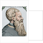 Andrea Doria (1466-1560). Italian condottiero and admiral from Genoa. by Anonymous