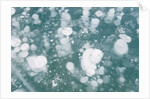 Ice Bubbles by Anonymous