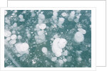 Ice Bubbles by Anonymous