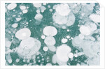 Ice Bubbles by Anonymous