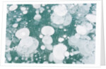 Ice Bubbles by Anonymous