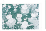 Ice Bubbles by Anonymous